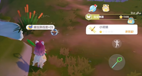 心动小镇小斑蜻捕捉地点