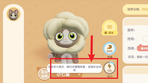 心动小镇猫咪活力恢复方法