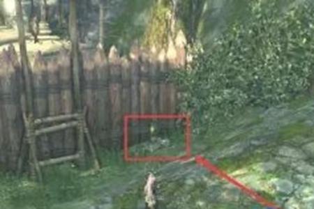 剑灵百猎庄鸡骨样本采集点位置介绍