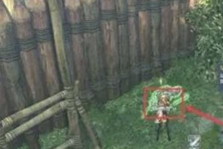 剑灵百猎庄鸡骨样本采集点位置介绍