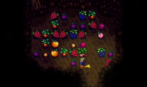 星露谷物语极光葡萄园修复方法