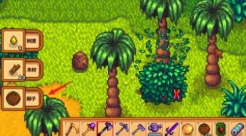 星露谷物语金椰子获得攻略