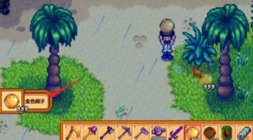 星露谷物语金椰子获得攻略