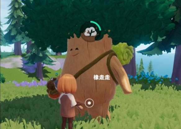 《心动小镇》溜溜木位置一览