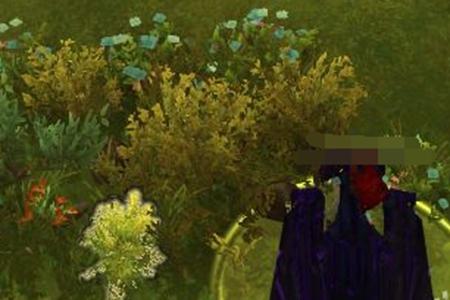 魔兽世界责任之课灌木点不了处理办法