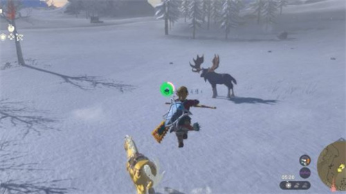 塞尔达传说王国之泪怎么快速刷钱 刷卢比教程