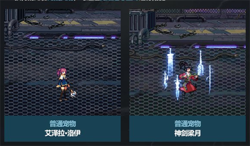 dnf春节宠物属性是什么 2023春节套宠物属性展示