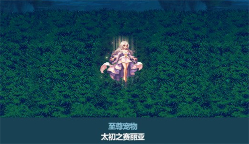 dnf春节宠物属性是什么 2023春节套宠物属性展示