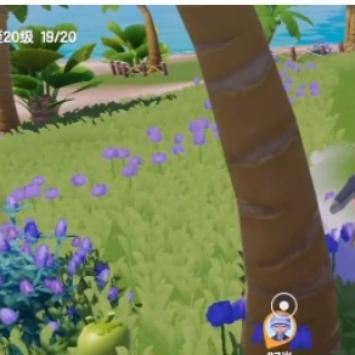 心动小镇果酱原材料一览