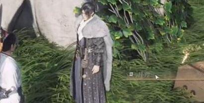 燕云十六声张一豪位置详情