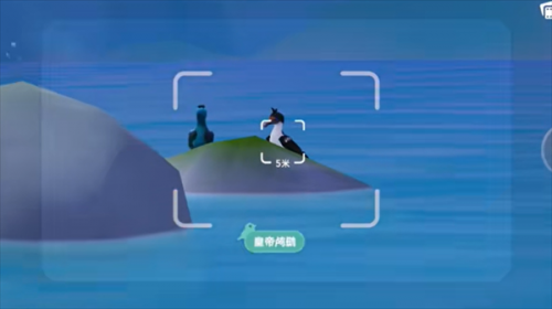 心动小镇皇帝鸬鹚位置一览