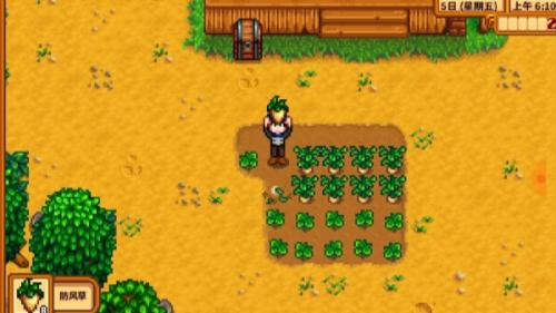 星露谷物语防风草收割步骤