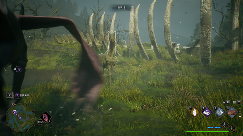 霍格沃茨之遗夜骐怎么捕获 夜骐捕获方法介绍