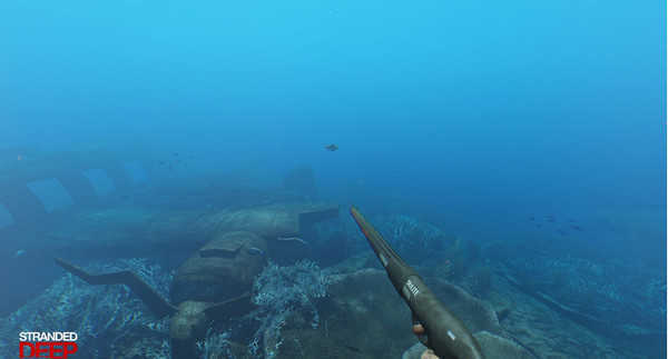 荒岛求生中文版