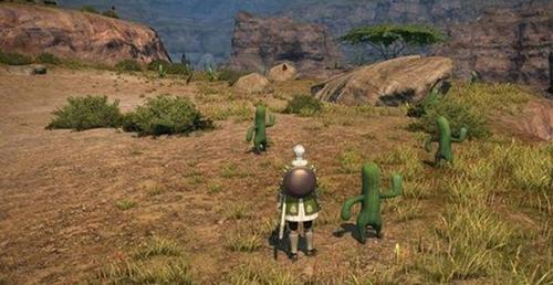 最终幻想15仙人掌的针获得方式