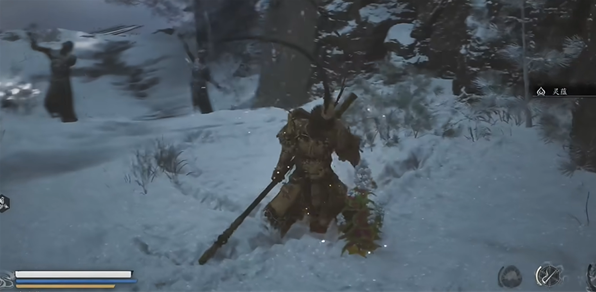 《黑神话悟空》龙胆种子获取方法