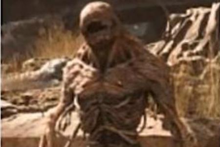 黑神话悟空骨灵精图鉴介绍