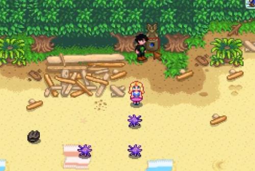 星露谷物语镇子南方的沙难位置在哪