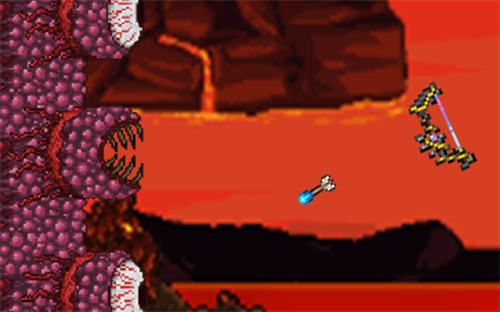 泰拉瑞亚肉山掉落物品介绍