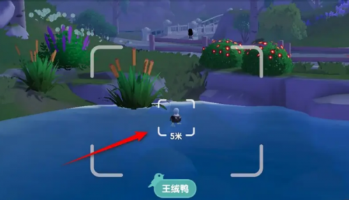 心动小镇王绒鸭位置一览