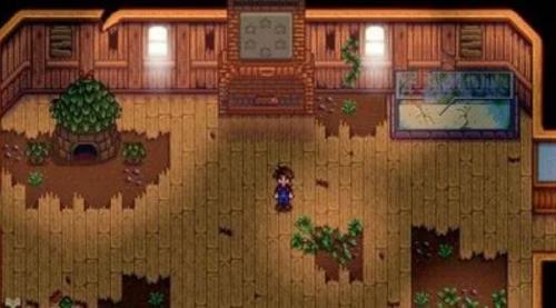 星露谷物语凌晨2点不睡觉出现事情介绍