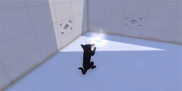 《小猫咪大城市》鲭鱼帽收集方法