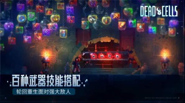 重生细胞B服官方版截图2