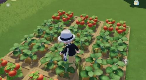 心动小镇给作物除草攻略