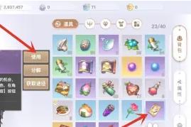 天谕手游易容券怎么用