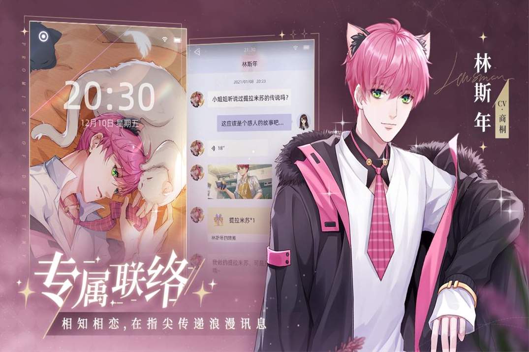 猫之宿约者截图1