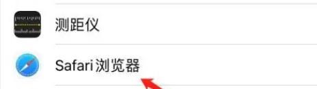 safari浏览器高级设置怎么设置