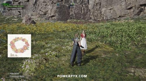 最终幻想7重生山丘上绽放的花怎么完成