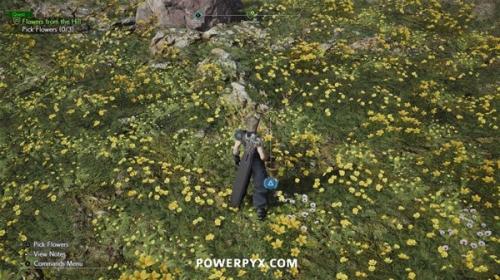 最终幻想7重生山丘上绽放的花怎么完成