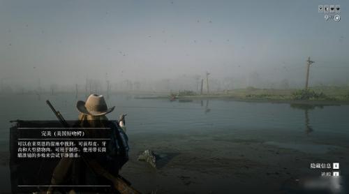 荒野大镖客2完美皮打猎技巧是什么