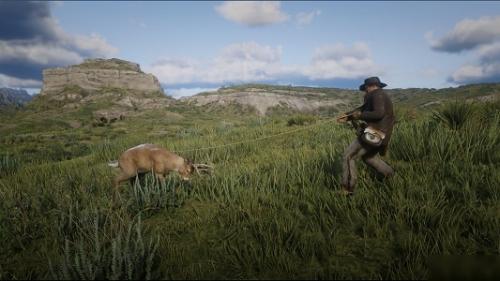 荒野大镖客2完美皮打猎技巧是什么