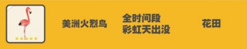 心动小镇美洲火烈鸟位置详情