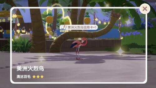 心动小镇美洲火烈鸟位置详情