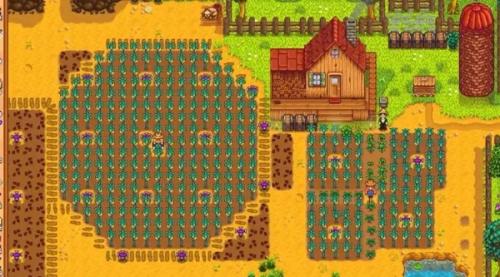 星露谷物语成熟后的种植技巧