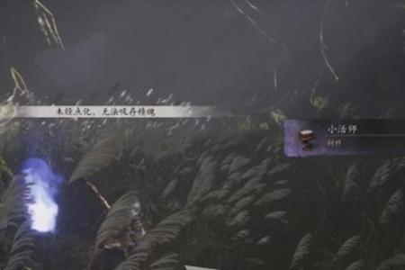 黑神话悟空拿到葫芦精魄没了处理办法