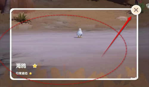 心动小镇海鸥位置详情