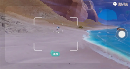 心动小镇海鸥位置详情