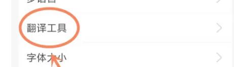 支付宝怎么开启翻译功能
