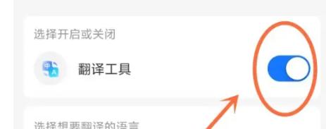 支付宝怎么开启翻译功能