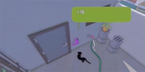 小猫咪大城市变色龙的位置在哪