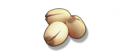 鸣潮莲实刷取方法