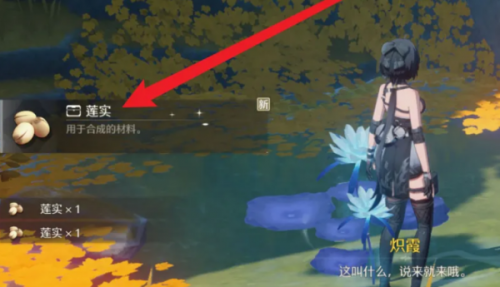 鸣潮莲实刷取方法