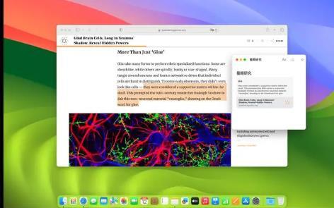 safari浏览器网址前面有个锁头
