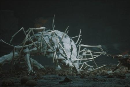 黑神话枕石坪流沙瀑布前往方法