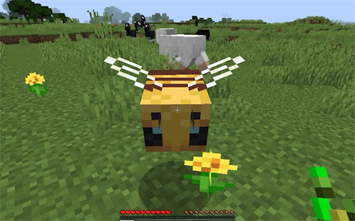 我的世界怎么养蜜蜂 蜜蜂驯服技巧