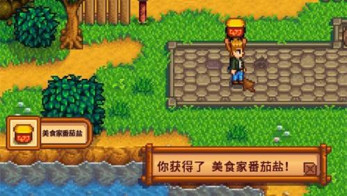 星露谷物语美食家番茄盐给的角色介绍